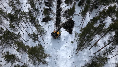 excavation trenching in winter forest, straight line ditch for drainage digged by heavy machinery in snow landscape, top down aerial