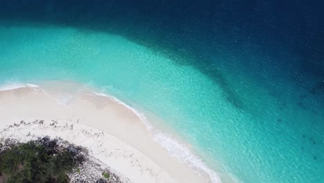 scenic static aerial view of curved white sandy beach and crystal clear ocean water on jaco island on tropical island of timor-leste, southeast asia