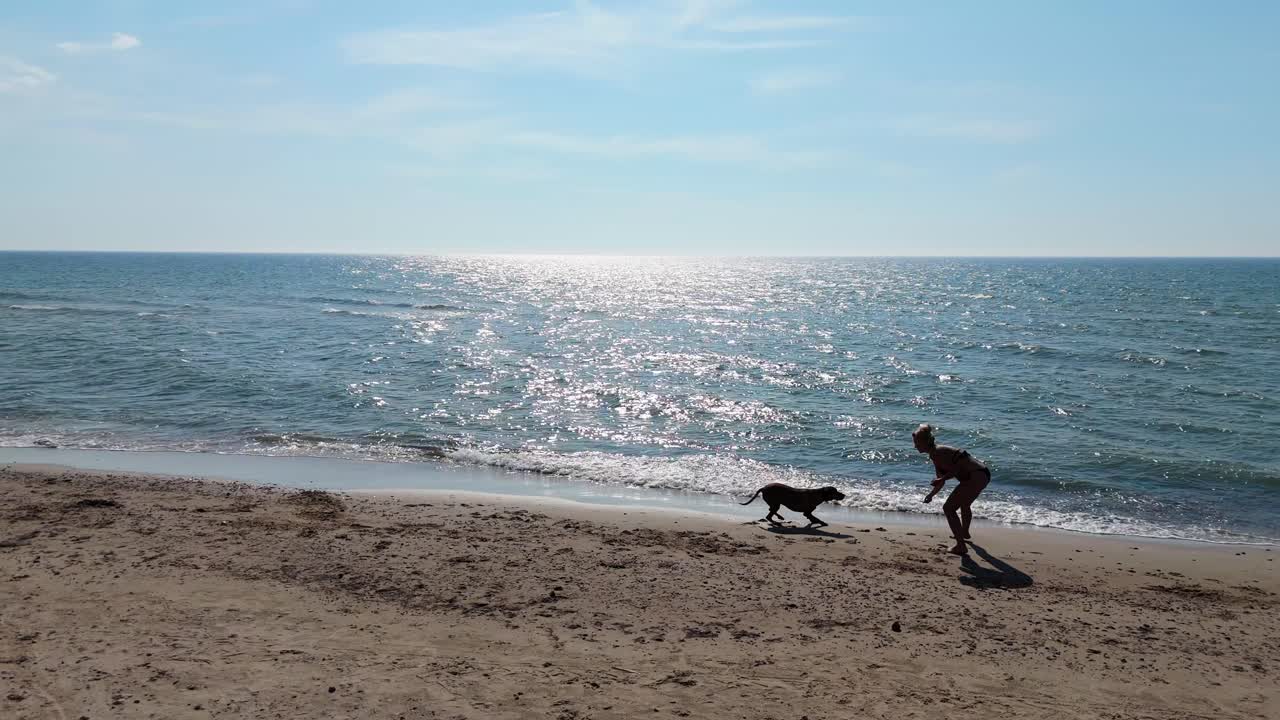 Drone View of Young Woman in Swimsuit Playing with Hungarian Vizsla Dog on Sunny Baltic Sea Beach in Latvia Aerial Footage of Joyful Summer Moment by the Coastline in Natural Scenic Setting