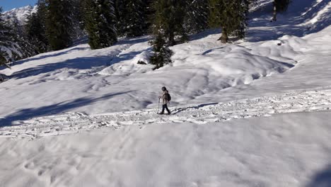 aerial tracking shot of woman snowshoeing on snowy path downhill swiss mountains at sunny day - orbiting shot