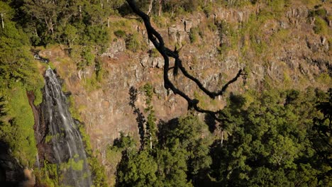 Mittlere-Handansicht-Der-Moran-Falls-Im-Nachmittagslicht,-Lamington-Nationalpark,-Malerischer-Rand,-Queensland,-Australien