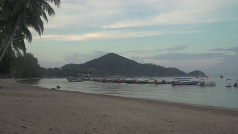 beautiful beach with boats at sunset