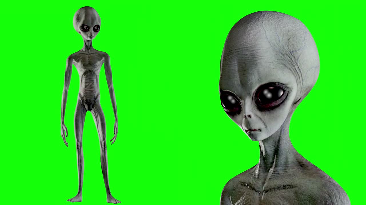 Scary gray alien stands and looks blinking on a green screen. UFO futuristic concept. 3D rendering.