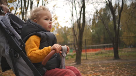 walk of mother and toddler in pram in autumn park calm weekend at nature closeup portrait of baby happy childhood