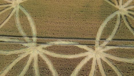 crop circles on a farm field in warminster, england, uk - aerial drone shot