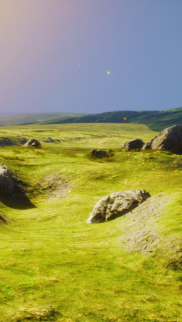 beautiful green field under a blue sky