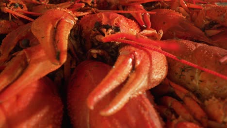 boiled crayfish close-up