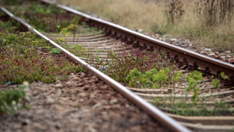 ferrocarril industrial del casco antiguo - resita, rumania 2