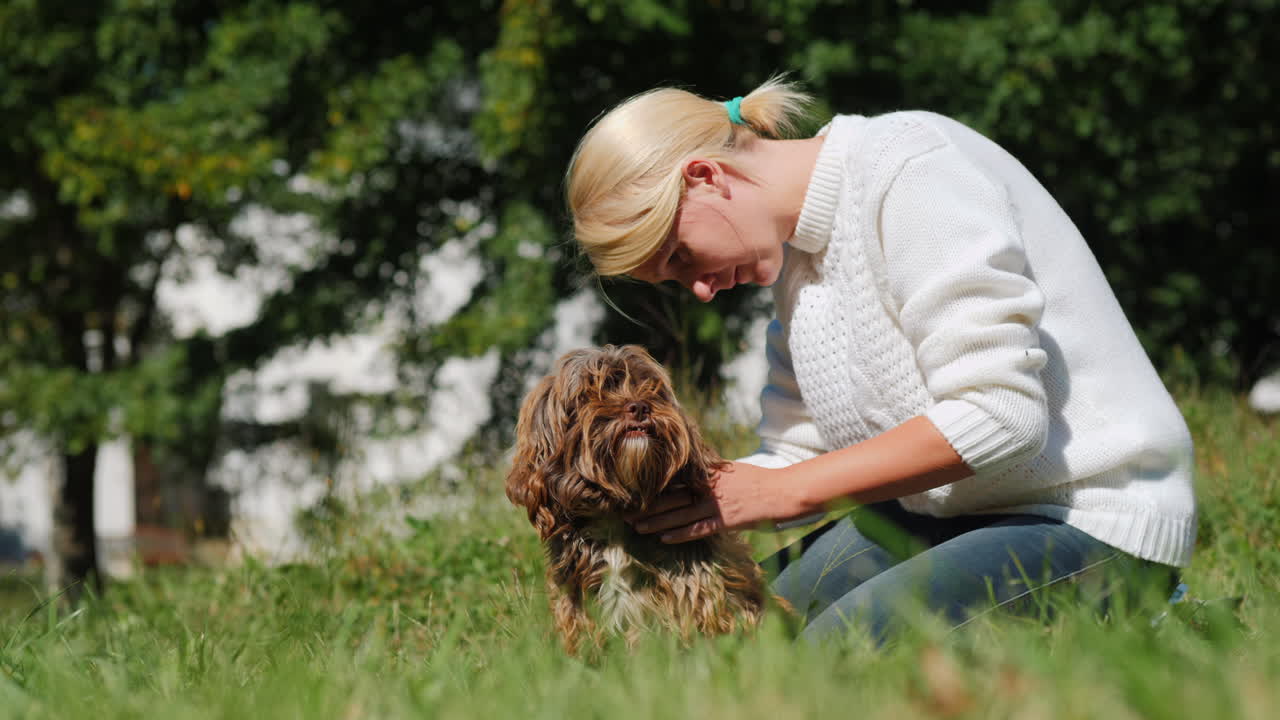 여자는 벼룩에 대한 강아지의 피부를 치료