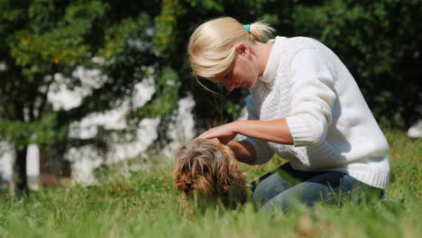 woman treats a dog's skin for fleas