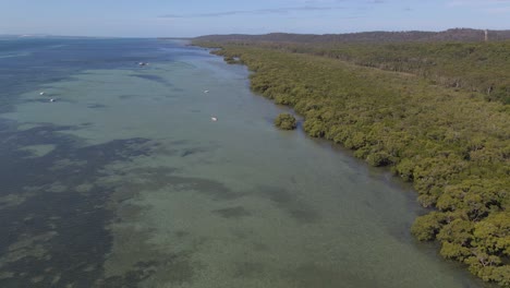 boats floating on calm water of coral sea with lush green forest - north stradbroke island, minjerribah, queensland, australia