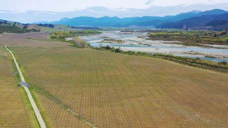 Antena-Sobre-Una-Finca-Agrícola-De-Viñedos-En-La-Isla-Sur-De-Nueva-Zelanda,-Región-Vinícola-1