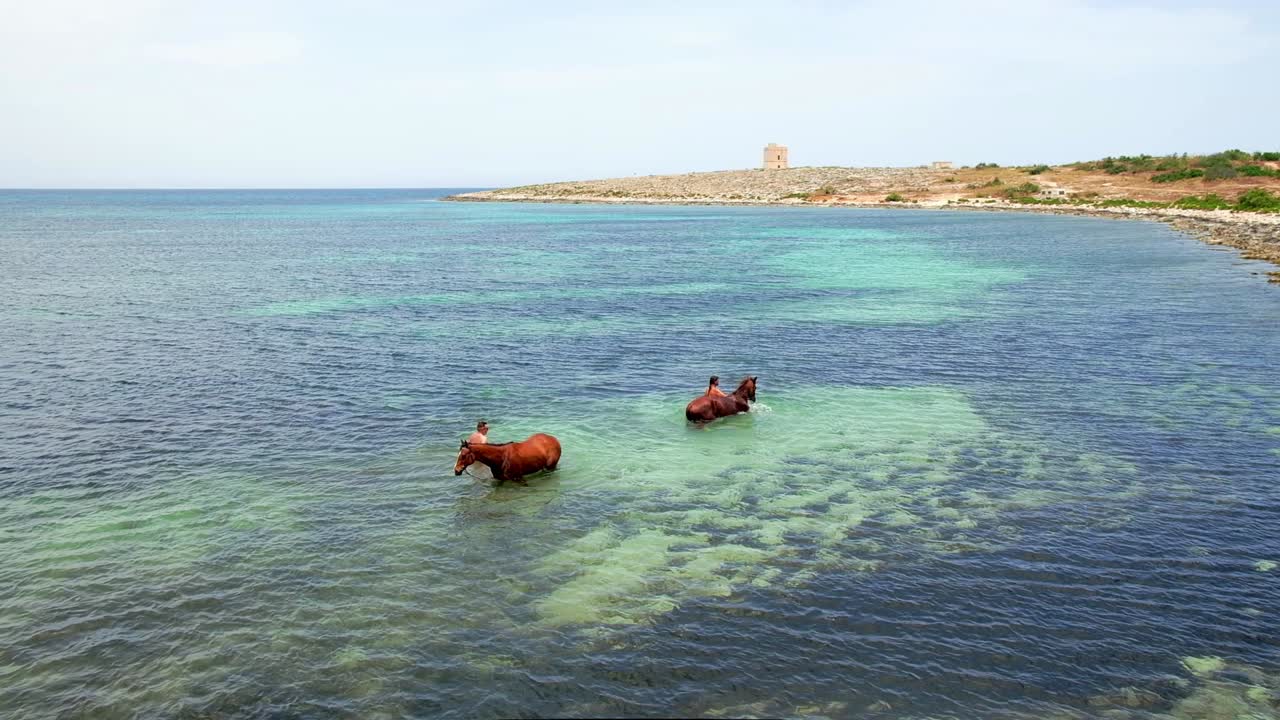 Two horses with their owners going for a swim in the sea.