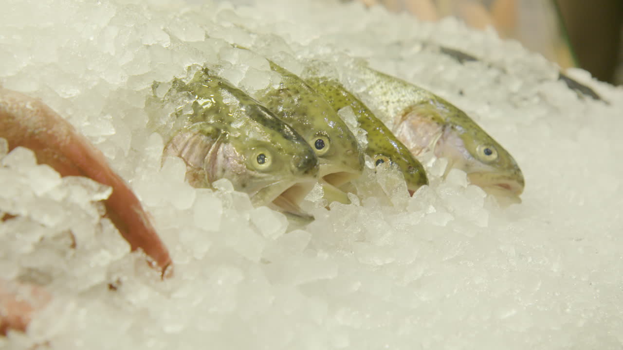imágenes de 4k de pescado fresco en hielo en un mercado de mariscos