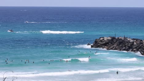 surfistas y nadadores disfrutando de las olas del océano