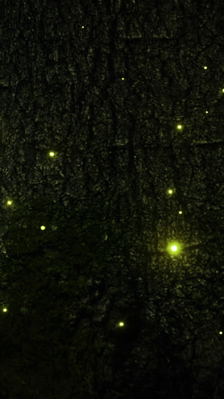 Glowing fireflies illuminating the bark of an ancient tree at twilight