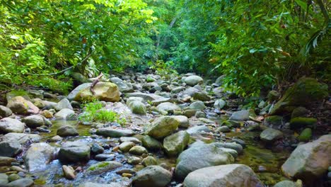 exploratory-aerial-at-human-level-through-a-subtropical-jungle-rock-bedded-stream-in-a-lush-forest-in-Minca,-Colombia