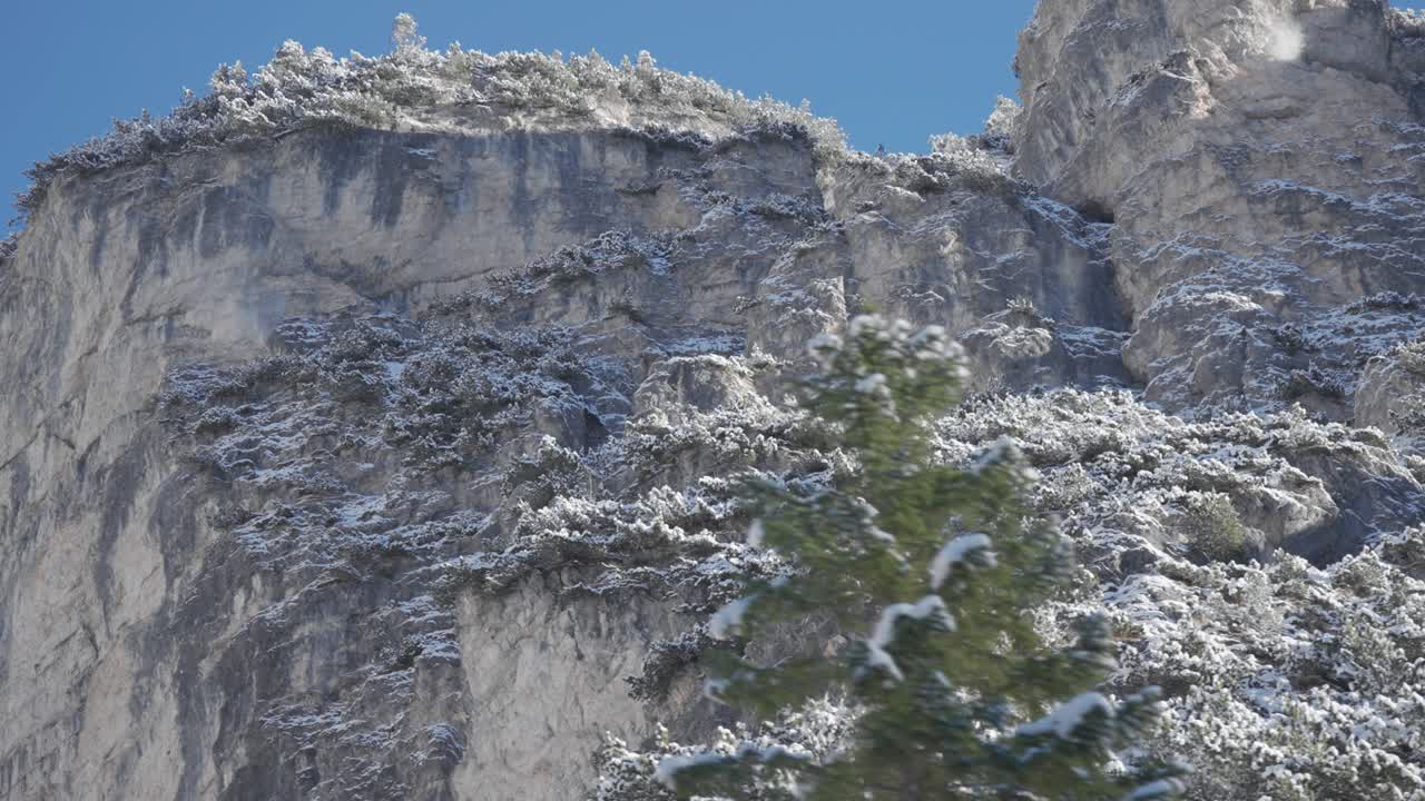 Steep alpine cliffs rise beneath a bright sky, with pine trees coated in fresh winter snow. Parallax video.