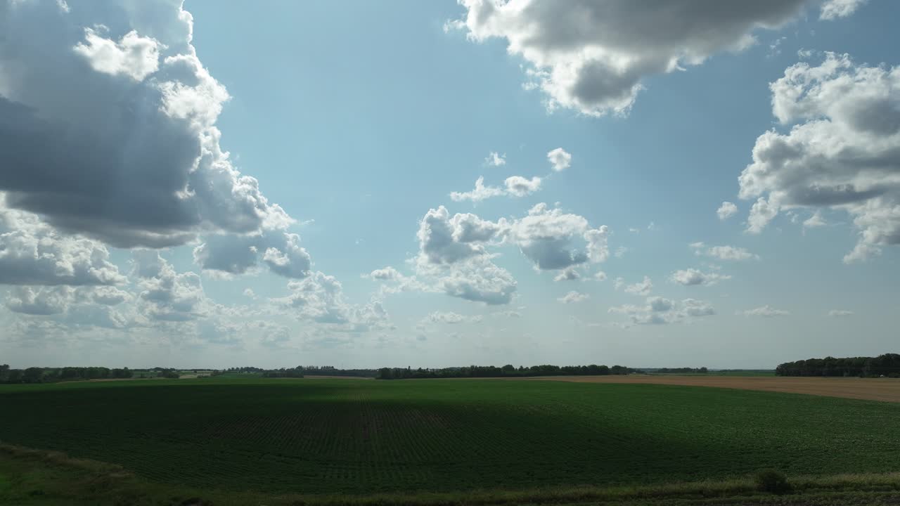 미국 미네소타 주 로체스터 의  ⁇ 은 날 에 녹색  ⁇  위 를 날아다니는 것