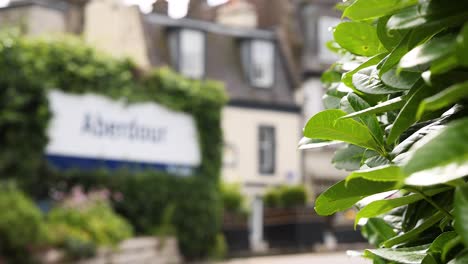 aberdour sign with lush green leaves