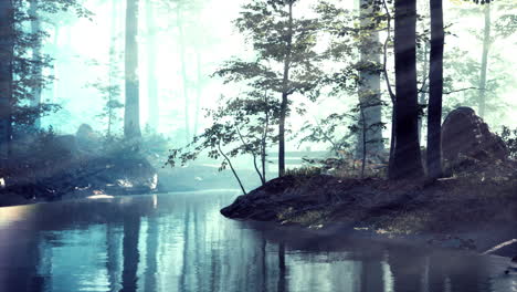 Am-Frühen-Morgen-Bedeckte-Weißer-Dichter-Nebel-Den-Teich