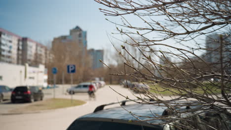 close view of budding tree branches in an urban parking lot, with modern buildings and parked cars in the background, with bokeh view of someone riding a bicycle