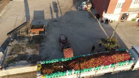 fábrica de jugos de frutas