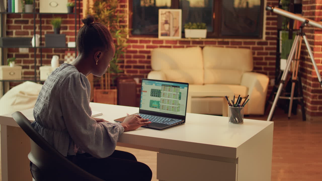 Self employed developer analyzing data