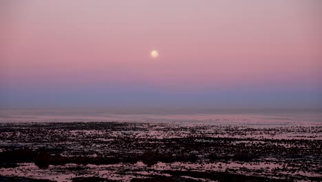 Peaceful-morning-with-a-full-moon-over-the-ocean-with-kelp-and-rocks-in-the-foreground