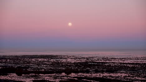 peaceful morning with a full moon over the ocean with kelp and rocks in the foreground