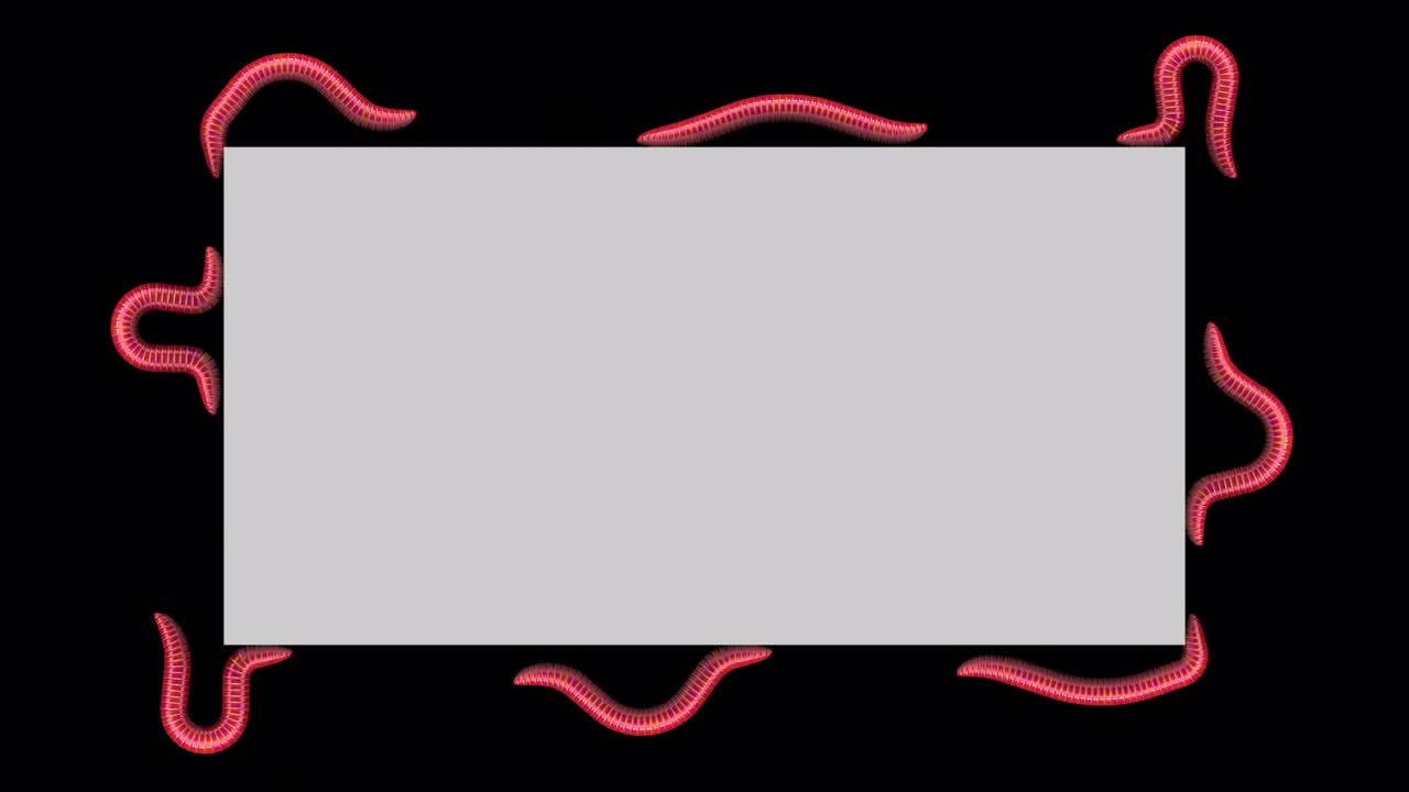 회색 직사각형의 벌레, 루핑 3d 애니메이션