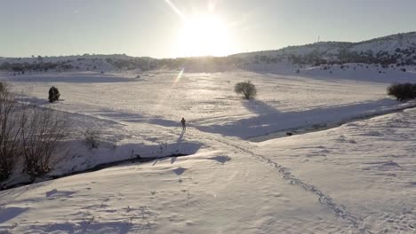 Un-Hombre-Parado-En-Imágenes-De-Drones-De-Campos-Nevados