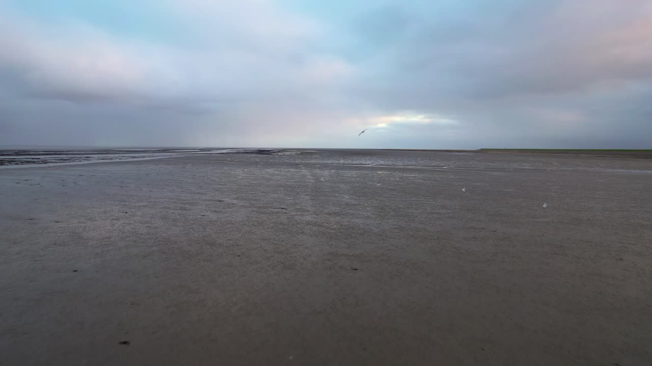 텍셀 섬의 갯벌 위의 두꺼운 구름이 무겁게 걸려 있다