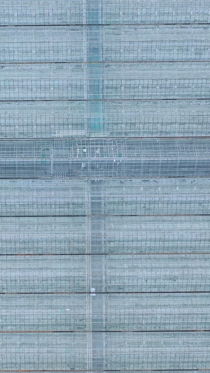 Industrial greenhouses aerial view. Glass greenhouses for growing vegetables. Vertical video