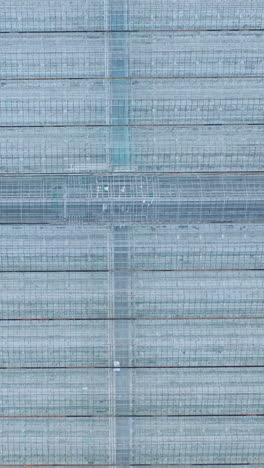 industrial greenhouses aerial view. glass greenhouses for growing vegetables. vertical video