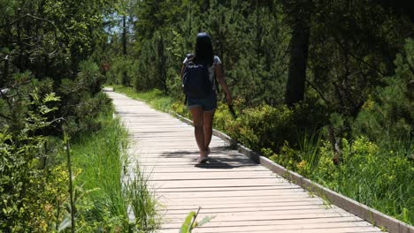 Woman-walking-on-a-Wooden-Path-near-Lake-Hohlohsee-at-the-Highland-Moor-in-Kaltenbronn-in-the-Black-Forest,-Germany