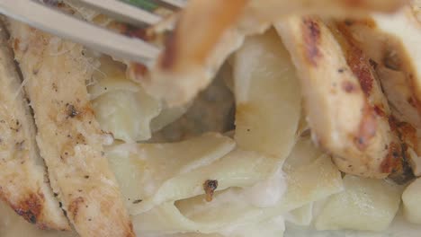 close-up of grilled chicken and creamy pasta with a fork