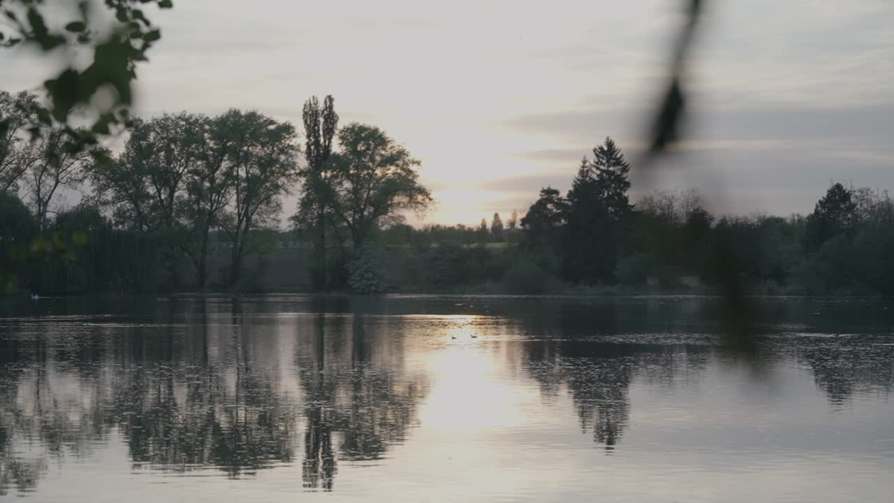 Tranquil Lake at Sunset or Sunrise with Tree Reflections