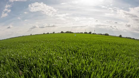 a dynamic timelapse of a vast green field under a moving sky, captured with a fisheye lens for a unique, distorted perspective.
