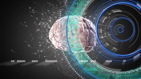 Animación-De-Rotación-Cerebral,-Procesamiento-De-Datos,-Circuitos-Integrados-Y-Círculos-Sobre-Fondo-Negro