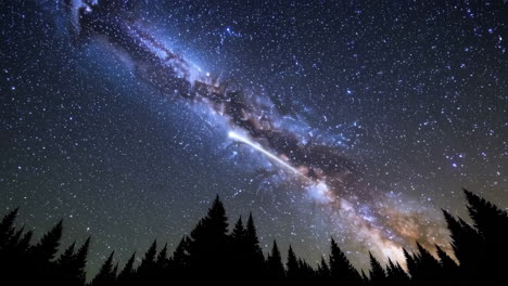 milky way over a forest