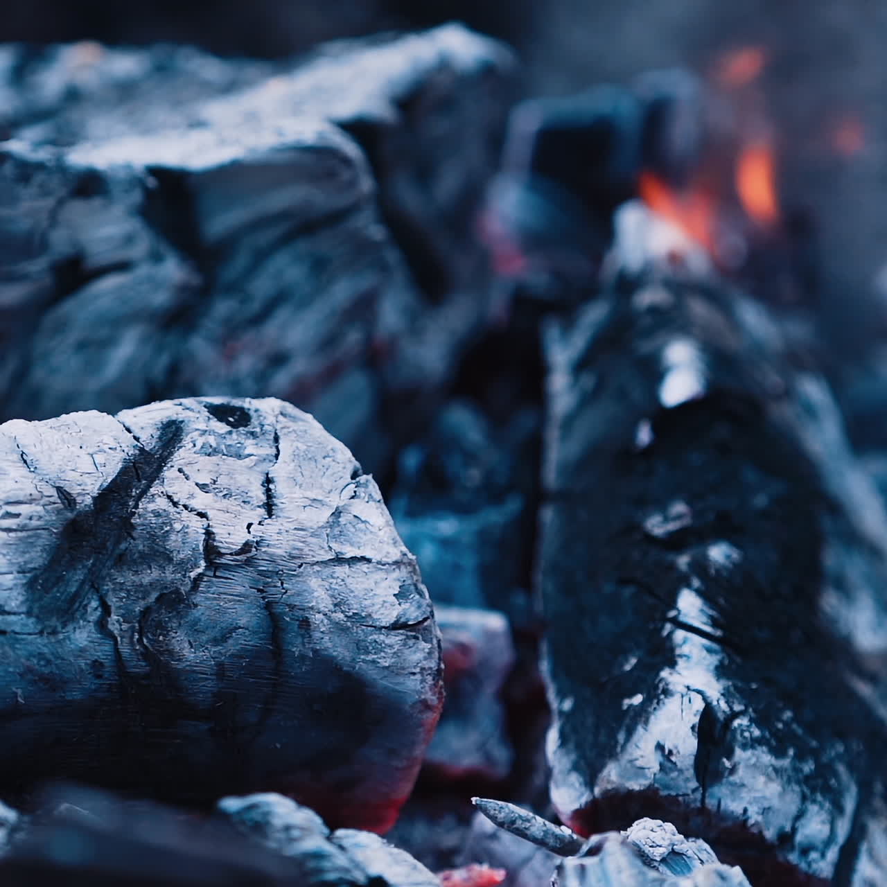 Dry wood logs burning in slow motion. Smoldering and burning firewood with ash. Close-up.