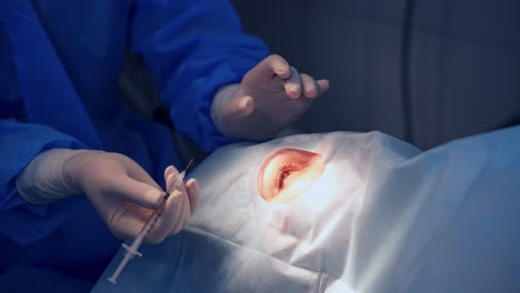 doctor's hands in sterile gloves with syringe. ophthalmologist making an injection into patient's eye. close-up.