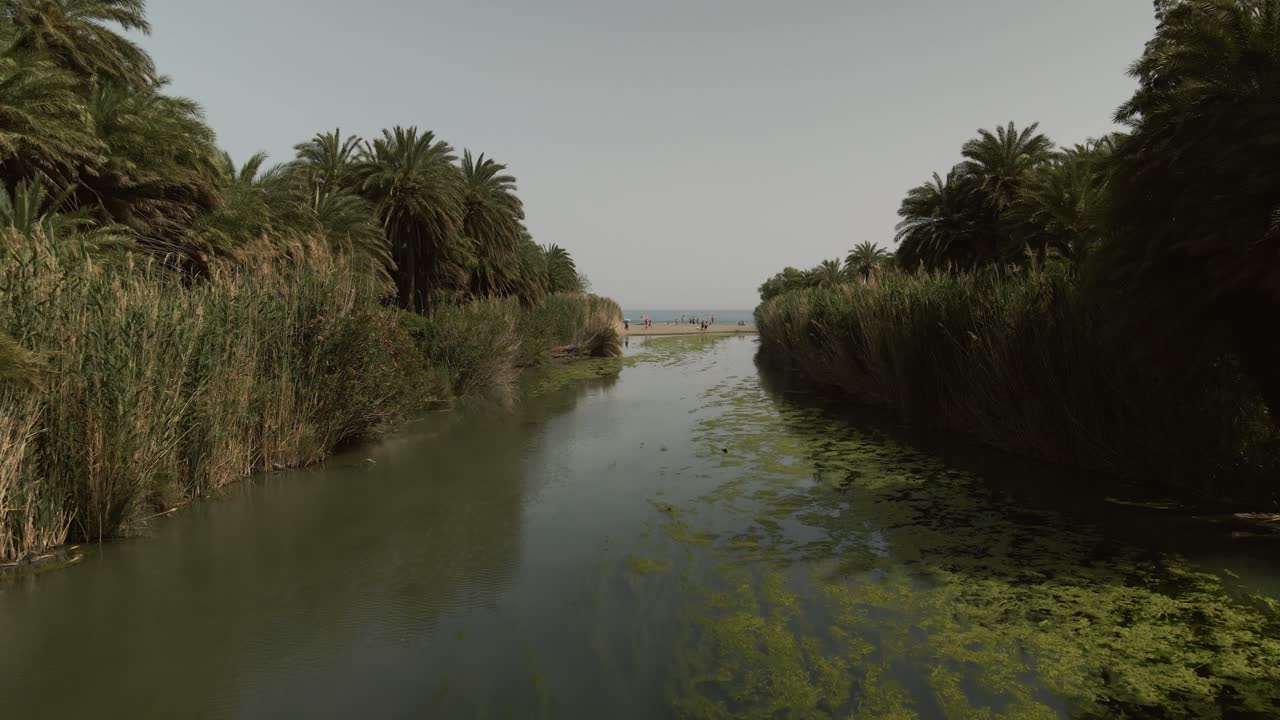 Aerial view of a palm-fringed river with green water flowing between reeds and tropical trees, leading to a sandy beach where people enjoy the sea at Preveli, Crete, Greece