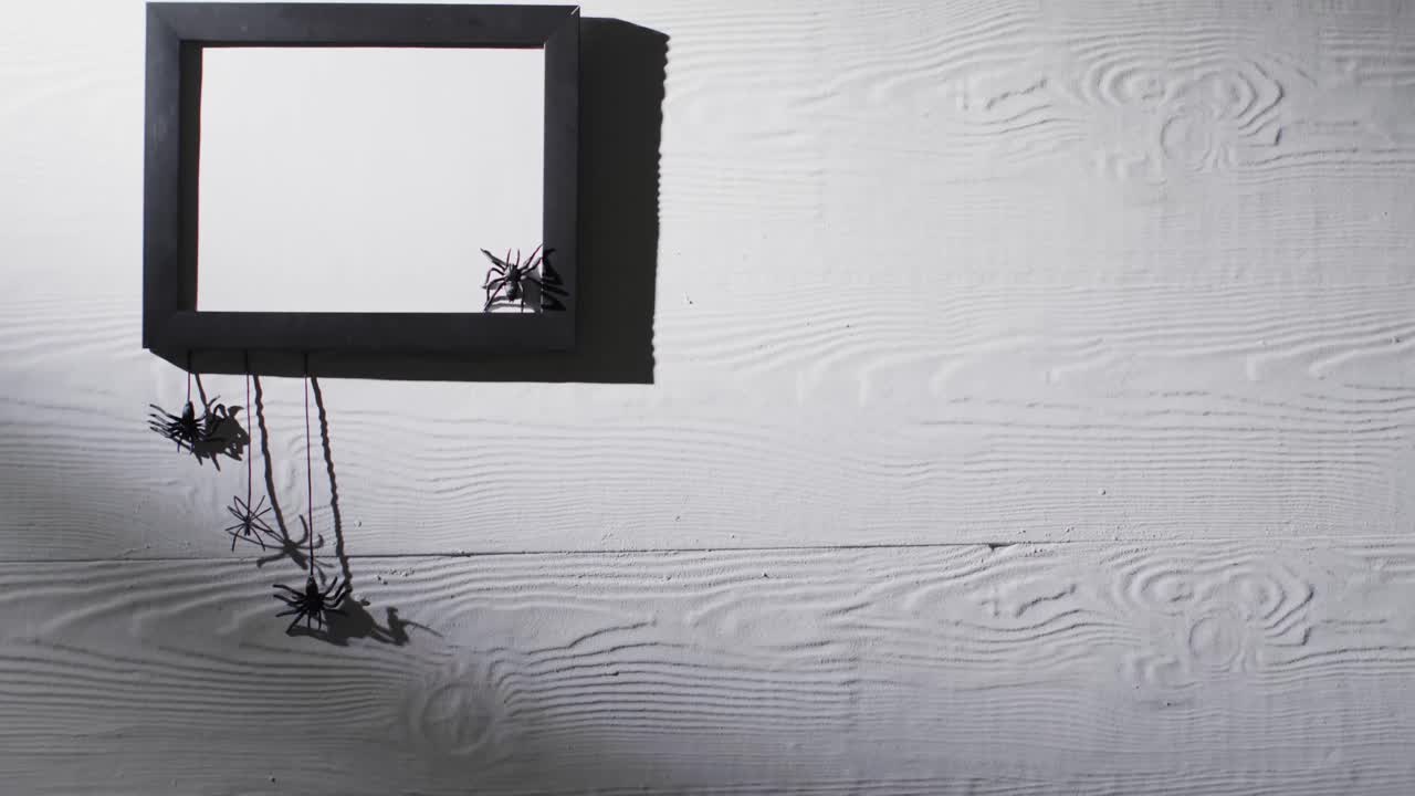 Video of black frame and spiders with copy space on white background
