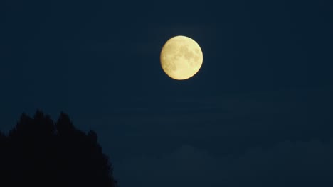 almost full moon waxing gibbous rise over trees time lapse
