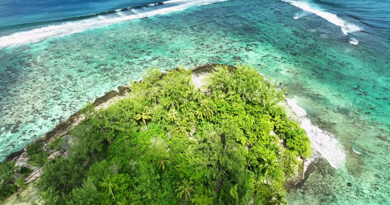 Small palm-covered motu sits within vast turquoise coral reef lagoon in French Polynesia, ocean waves break along outer reef edge beneath bright midday summer sunshine. Aerial drone top down shot