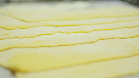 close up of fresh homemade pasta with flour on top.