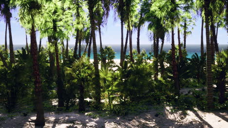 tropical paradise with white sand and palm trees