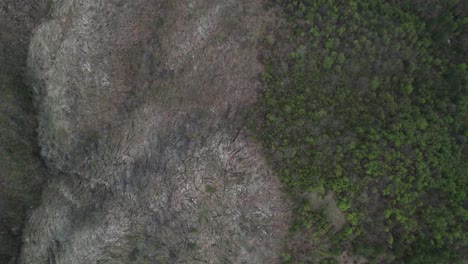 Top-down-aerial-of-deforestation-on-mountain-in-Herzegovina,-Bosnia